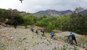 the pine forest of kofinas kapetaniana kofinas koudoumas mountain bike tour Crete Kreta