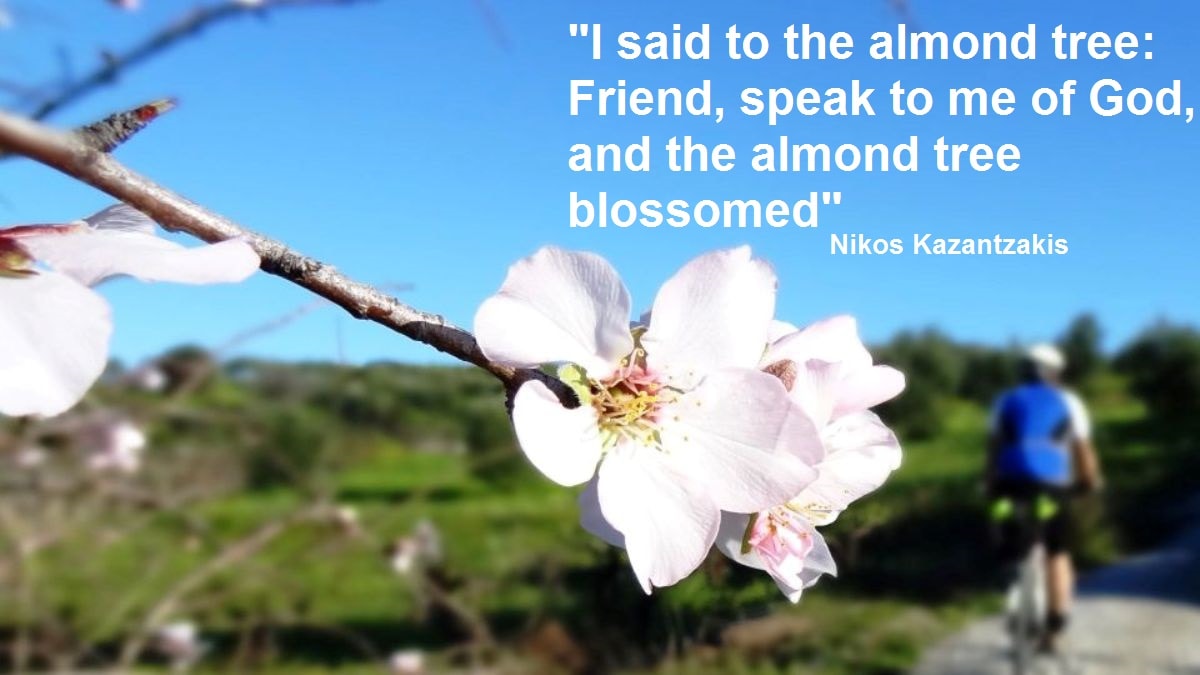 I said to the almond tree friend speak to me of God and the almond tree blossomed -Nikos Kazantzakis quotes for cyclists – CyclingCreta