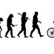 the stages of cycling - feature img