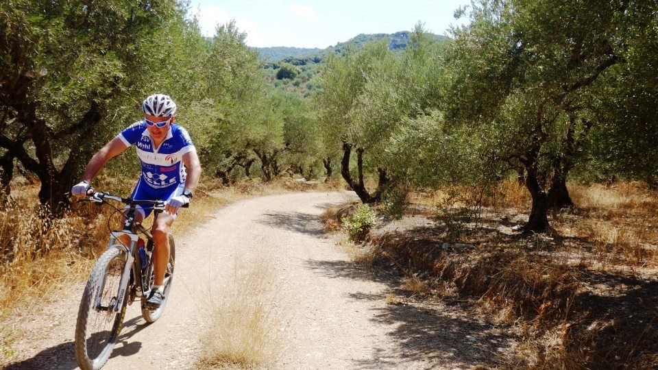 lyttos level 3 bike tour crete for experienced cyclists only riding through the olive groves